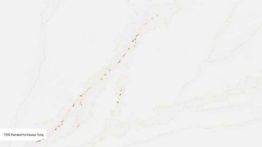 7550 Калакатта Канны Голд